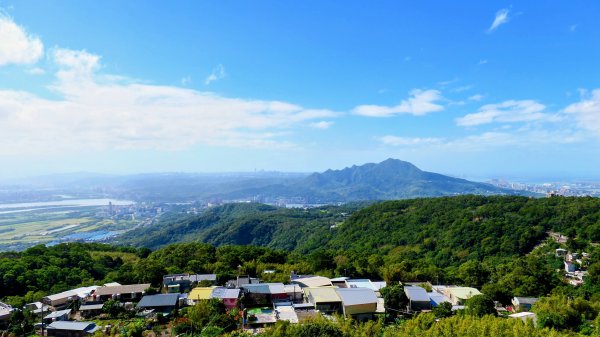 向天蝦不蝦2936797