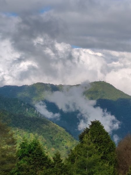 稍來小雪山國家步道、船型山、鞍馬山、鞍馬山東北峰、天池、雪山神木2799965