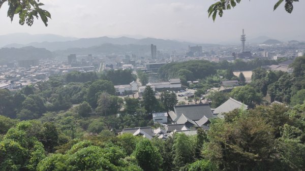 茲賀彦根城(最美五城)3089790