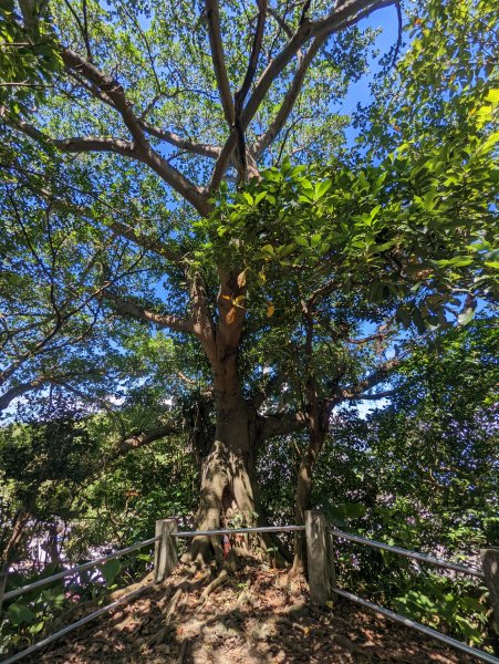 基隆一日雙塔：基隆燈塔→球子山燈塔1829493