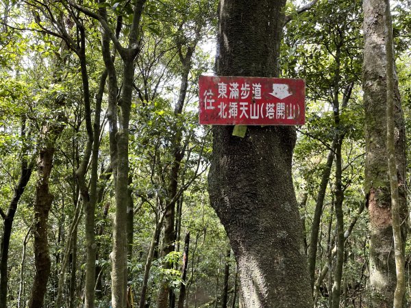 志繼山-東眼山-拉卡山-東滿步道-卡外山1706026