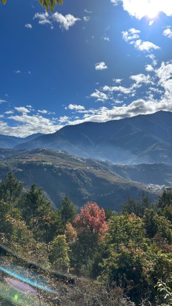 馬武霸下武陵2962334