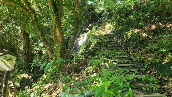 2025-0130溪和宮-大崎頭步道-鵝尾山-平溪步道-鵝尾山水田-42巷-溪山百年古圳-平菁步道2701971