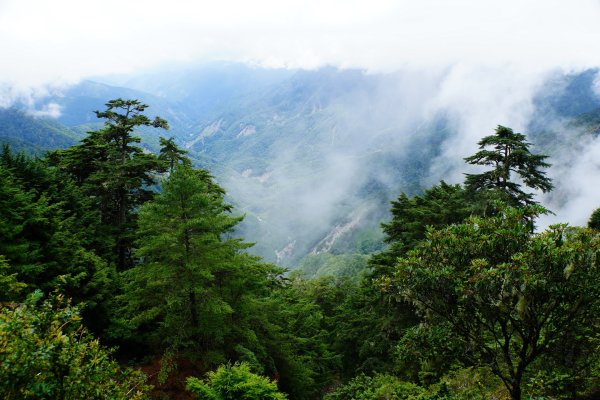 臺灣 嘉義 玉山3110188
