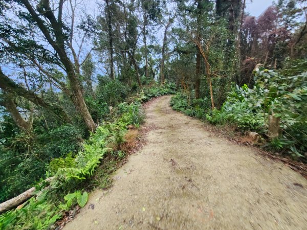 20260208五分寮頂山內大坪山石硬山O型3005238