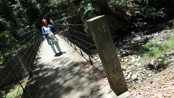 澀水森林步道登山健行趣(步道)2259812