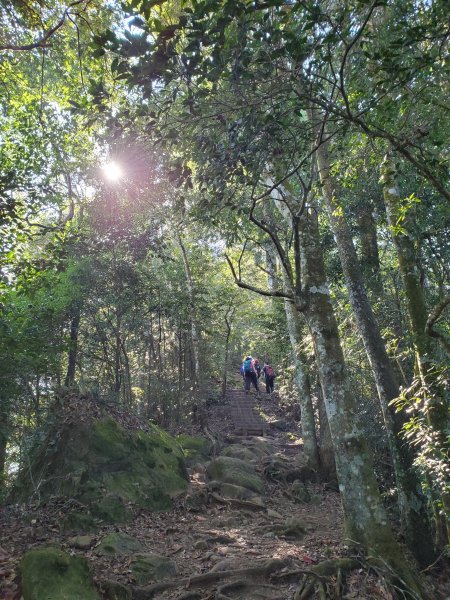 小百岳_馬那邦山1501278
