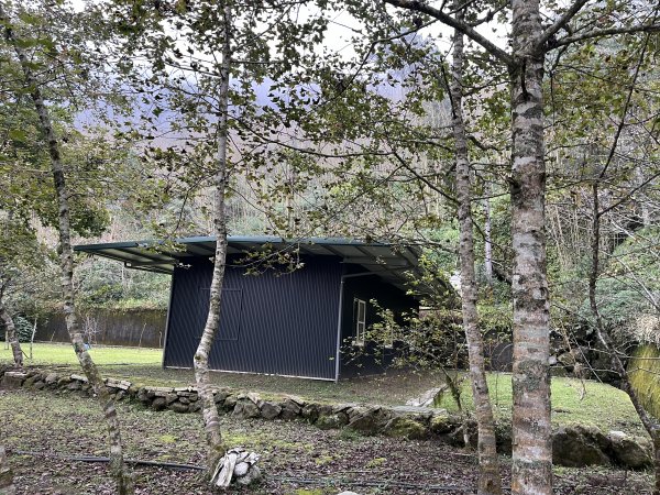 [嘉遊好步道．來嘉走走-04/10] 2024_1011 阿里山頂湖步道2624716