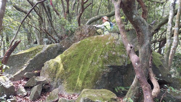 楓樹湖古道登面天北稜上面天山2782214