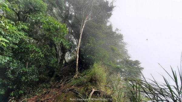 《雲林》望好望角｜石壁山嘉南雲峰步道(中側登山口）202506072805410