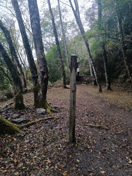 霞喀囉步道(全程)2972326