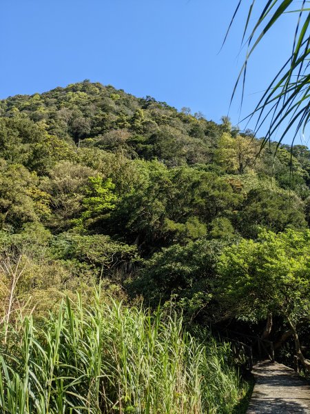 水管 天母古道 紗帽山 橫嶺 半嶺古道1697478