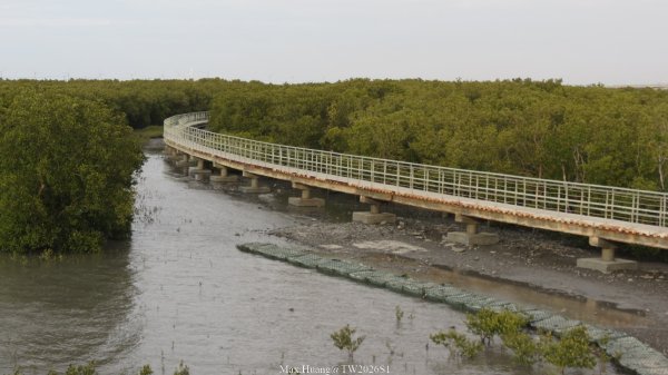 《彰化》海空夕照｜王功燈塔及芳苑海空步道健行賞冬候鳥202601102980322