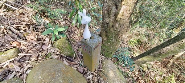 2026/03/08-毘盧禪寺步道+七星崗3013877