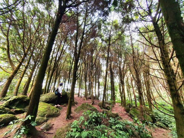 新竹民都有山，鵝公髻山，五指山，桃園赫威神木群步道，赫威山，高坡彩虹瀑布，苗栗山塘背步道，小北埔山1685646