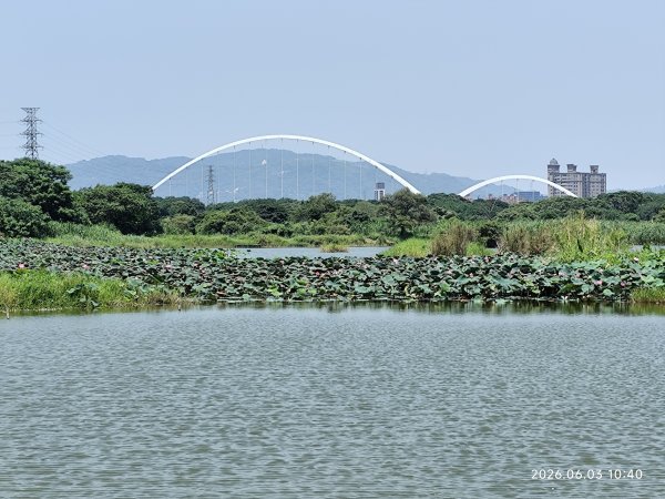 板橋石雕公園、農村公園、華江人工濕地、新海一期人工濕地、新月橋