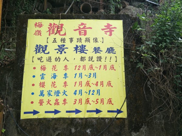 2019 11 14 竹子尖山步道735175