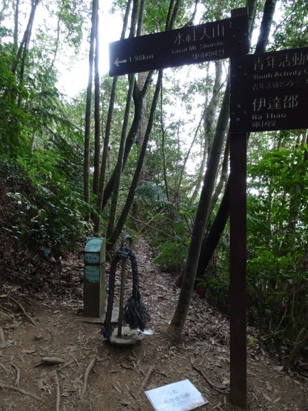 2022年02月13日(彰山協)南投日月潭四兄妹之中級山~大尖山縱走水社大山1613480