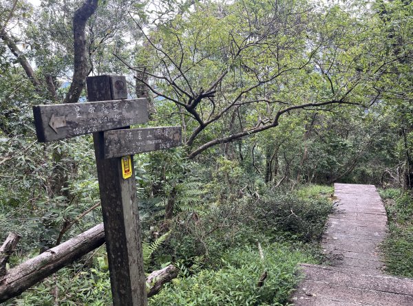 [微笑山線_第九段] 2025_0914 二格山系_皇帝殿西峰2889779