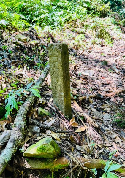 瞭望台-瓊山-望美山-獵人古道2887717