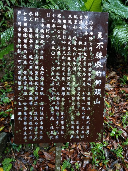 雨中登獅頭山。漫步獅山古道、水濂橋步道894377