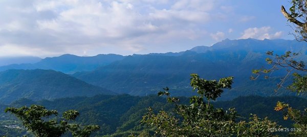 岩壁上的花、艷紅鹿子百合（22869790