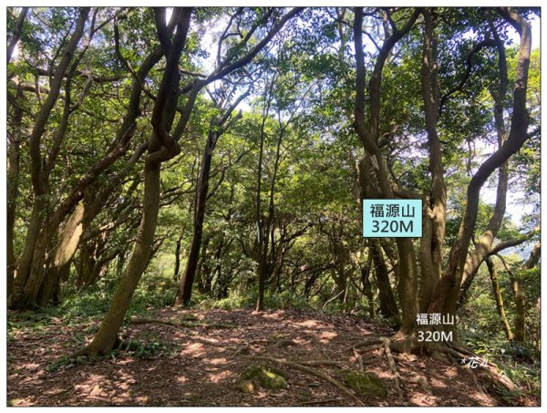 福源山步道 (桃園、龜山)2819170