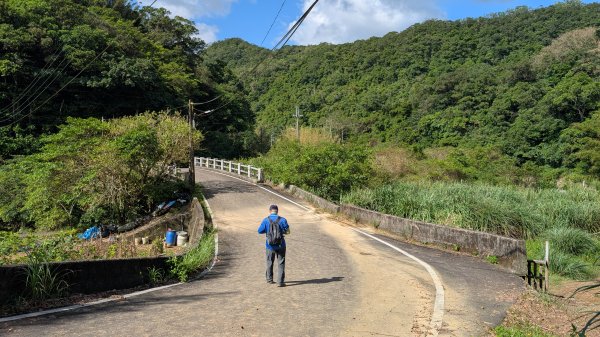 114.11.09草嶺古道芒花季之旅2932938