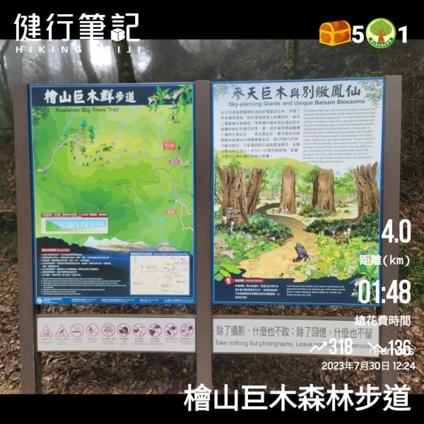 01-檜山巨木森林步道-20230730-2023森遊竹縣 尋寶特攻隊2260255