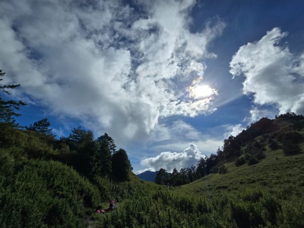 志佳陽大山（回程走高繞環山獵人登山步道）2542192