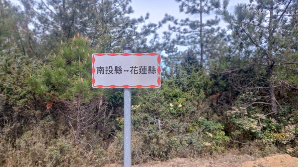 2024四天三夜六順七彩2681485