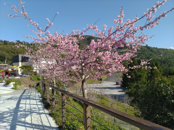 2022-01-15 漫步隙頂-頂石棹-太和-瑞峰1581362