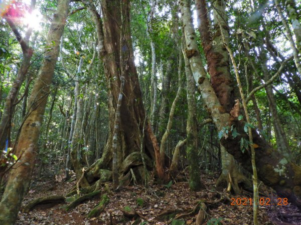 南投 仁愛 有勝山1287357