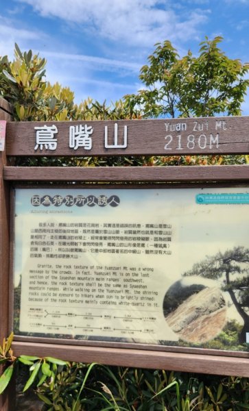 【中級山縱走】最美中級山，鳶嘴西稜縱走（鳶嘴山，醜崠山，長壽山）2741418