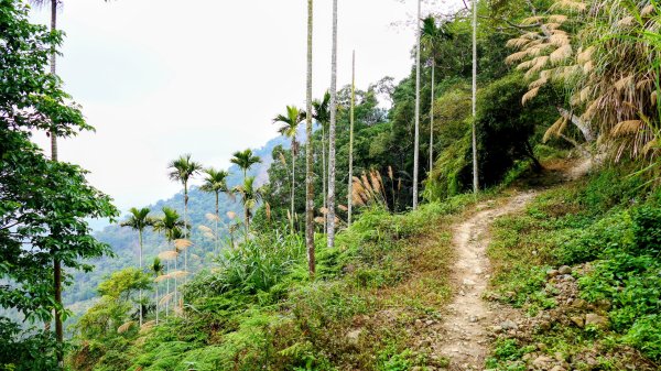 梅嶺竹子尖山2987428