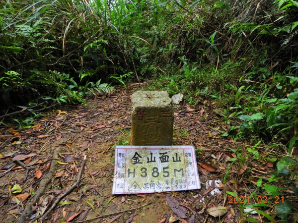 桃園 大溪 金面山、金山面山1315354