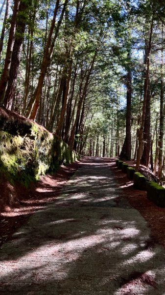 桃山、喀拉業2816807