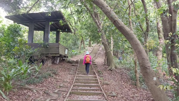 (姨婆趴趴走)第五十集:新北樹林大同山、青龍嶺、大棟山諸峰連走2751567