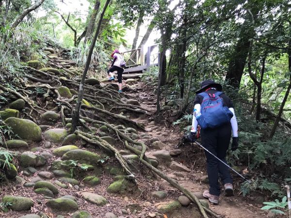 飛鳳山觀日坪連走中坑山388278