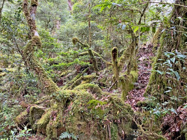 石山秀湖夢幻仙境悠遊行1013374