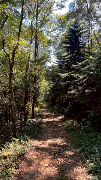 🌈11/8（六）桃園神社+虎頭山風景區尋找10連峰✨FB：熊熊趴爬走🌈2932459