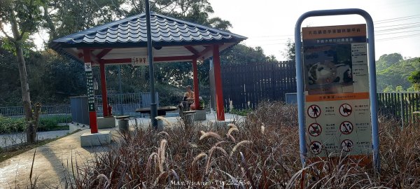 《台中》登山市集｜大坑9及9_1號步道上觀音亭202512202966554