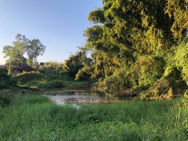 台南市六甲、官田、麻豆、將軍土地調查局圖根點。六甲、番子田、寮子廓、新豹尾（末尋得）、過港子1634837