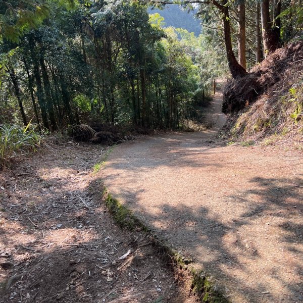 小百岳-金柑樹山2717251