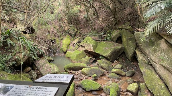 台北｜士林．內湖 臺北大縱走第四段1599945