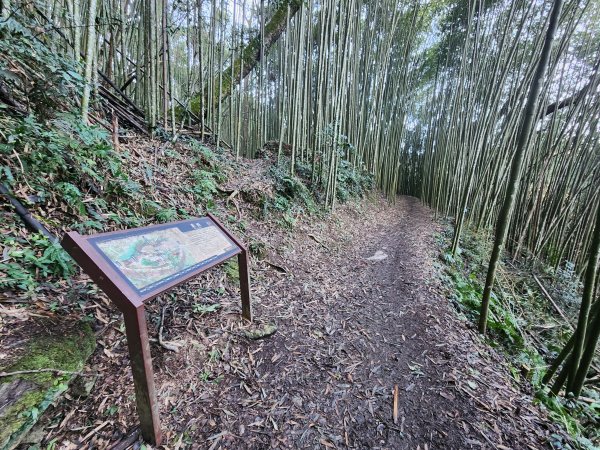 20241124布奴加里山2679106