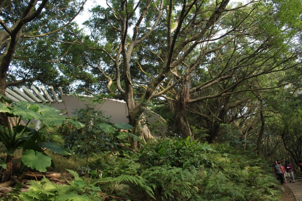 20170107台灣桃園虎頭山步道90646