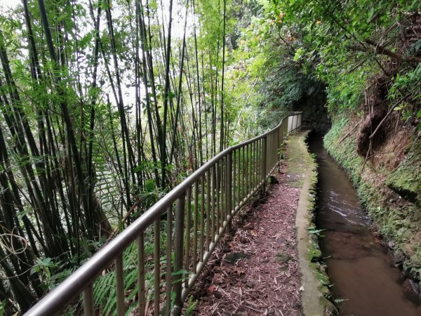 面天山、向天山步道→七星山主、東峰→大溝溪溪畔步道→碧湖公園步道→坪頂古圳親水步道→台北植物園步道1667640