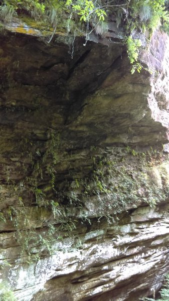滑瀑岩洞、溪水清澈的基隆暖東峽谷步道974253