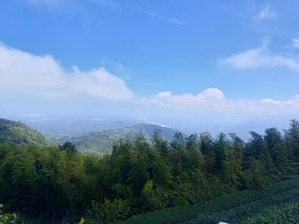 華山4-2號步道上雲嘉連峰2579334